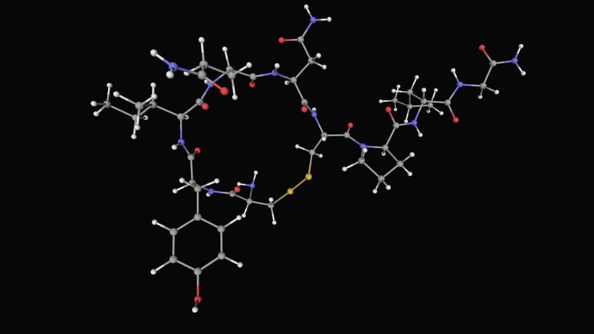 oxytocin chemocal structure model