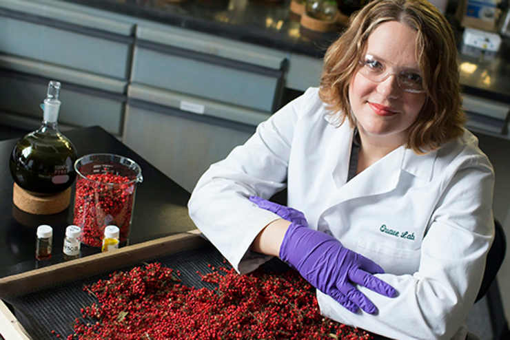 Cassandra Quave, an ethnobotanist at Emory University, in her lab with berries from the Brazilian peppertree. 
