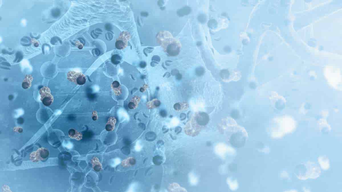 stem cell dna matrix
