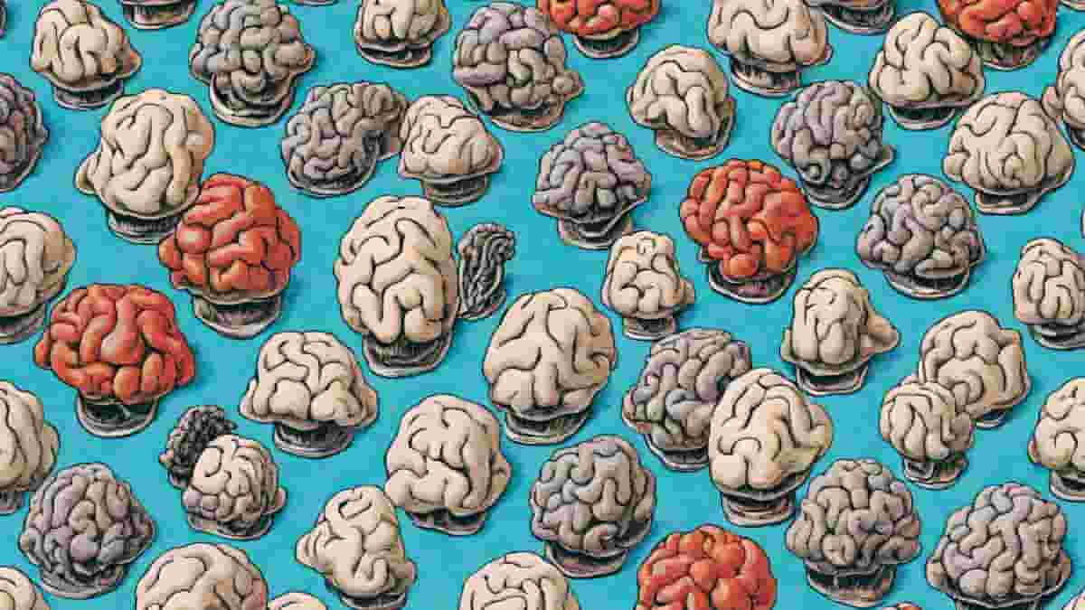 Lab-grown Mini Brains