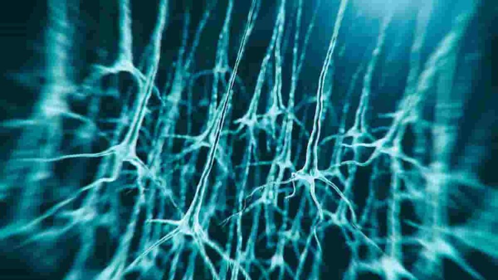 neurons illustration