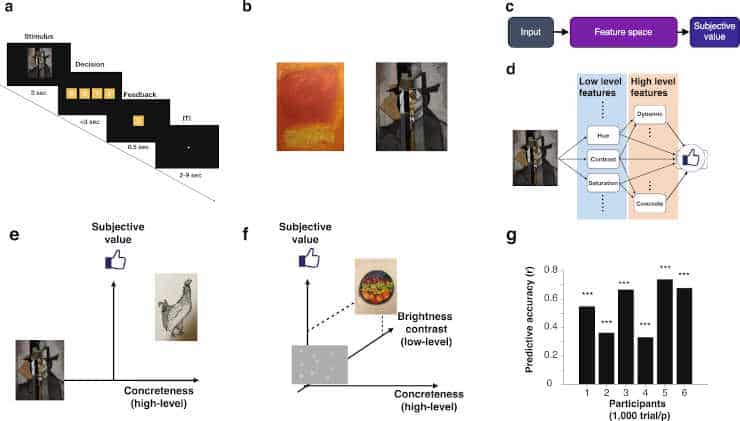 Neuroimaging experiments and the model of value construction