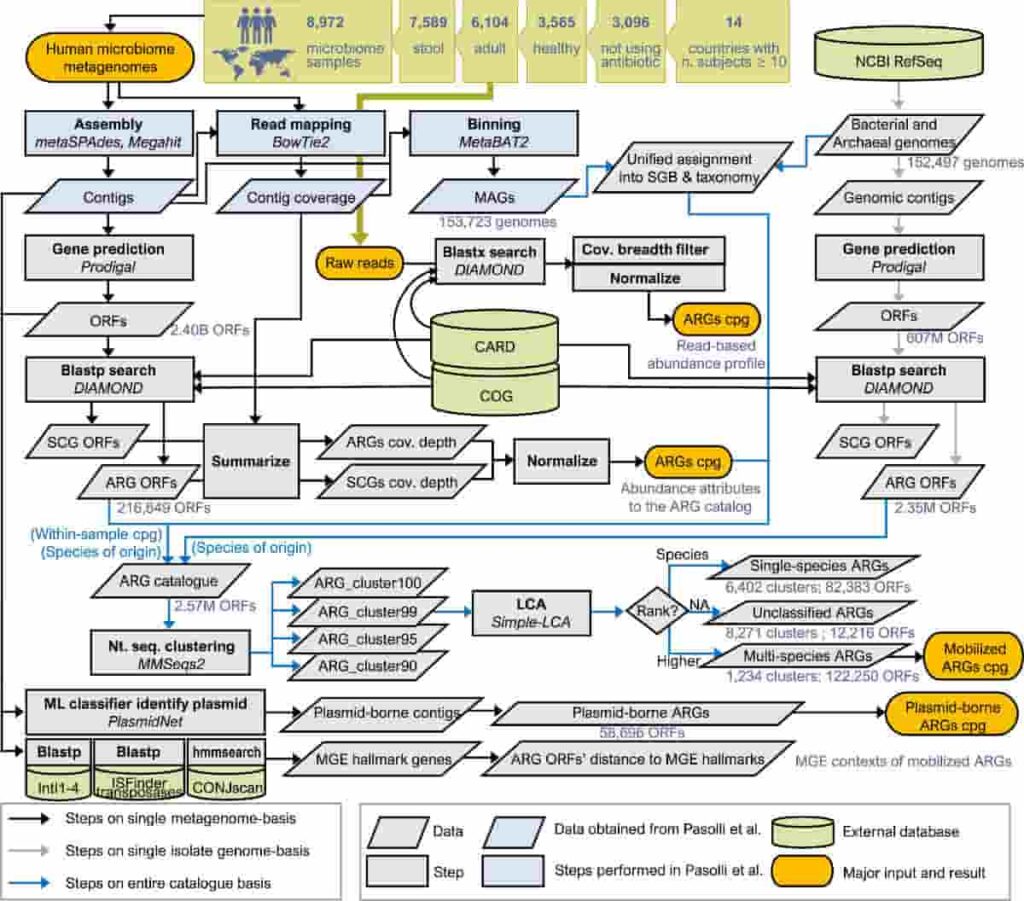 schematic overview of the bioinformatics pipeline employed in the study