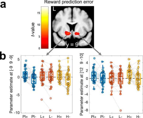 Model-based FMRI results for prediction error coding 