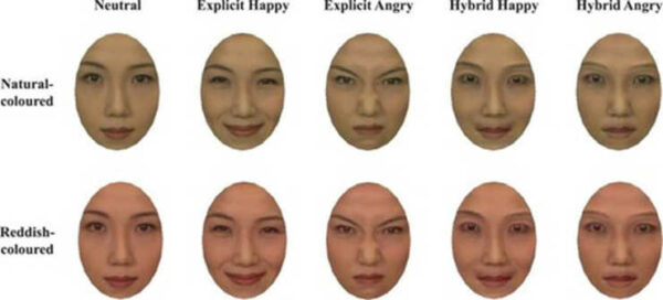 explicit and hybrid emotion faces