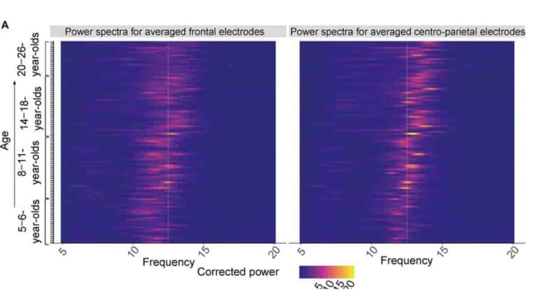 sleep power spectra